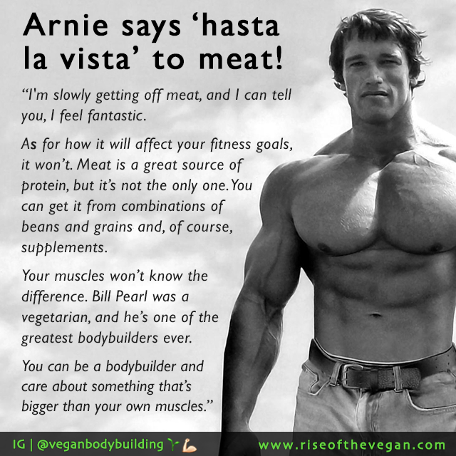 Arnold Schwarzenegger Vegan ATTN